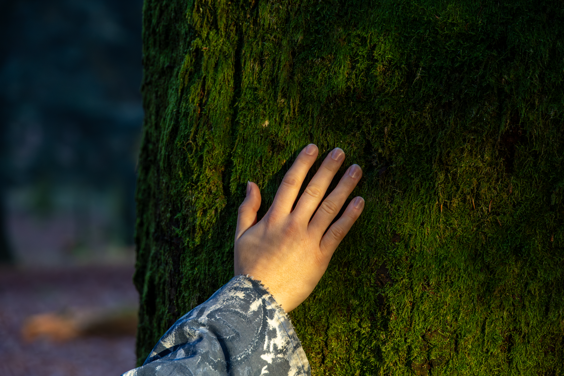 Connection to nature with hand touching tree trunk