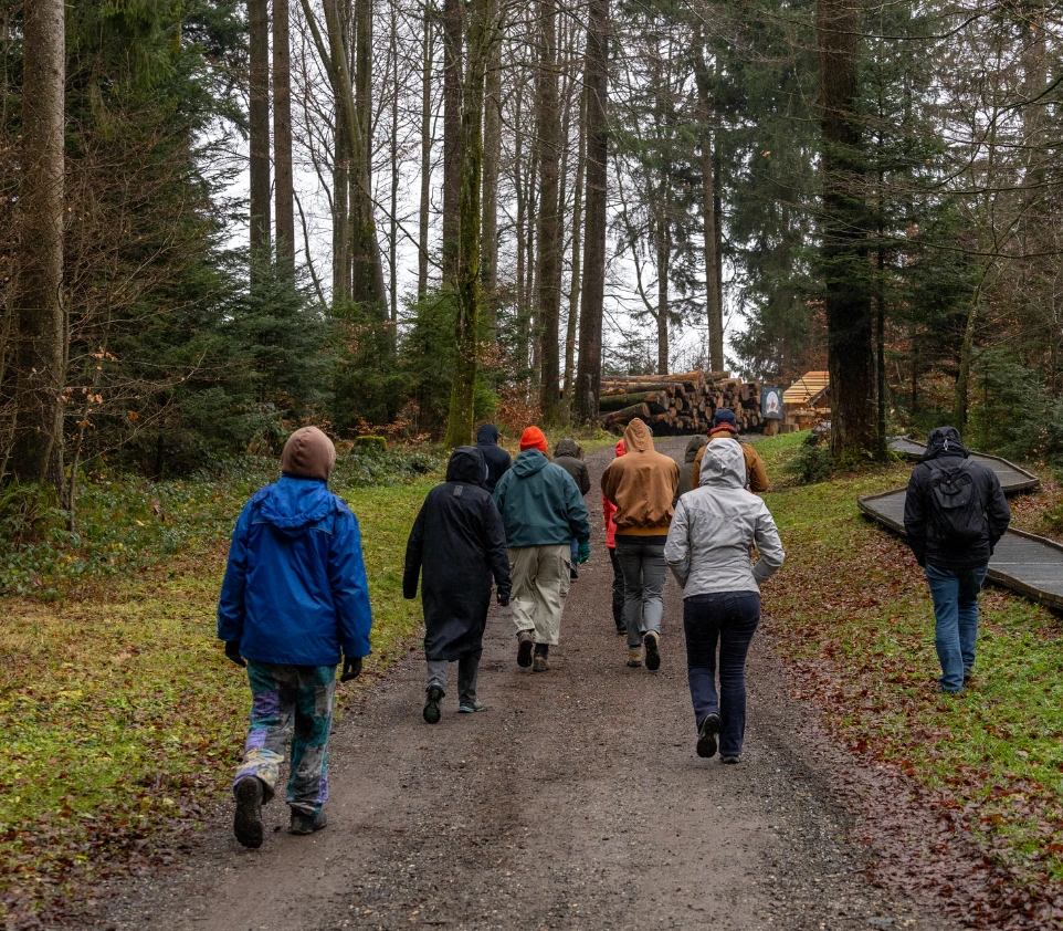 Hiking in nature